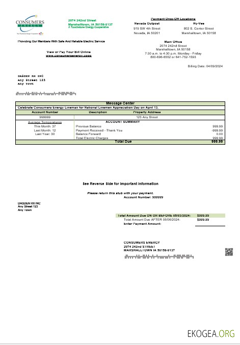 Modèle de facture de services publics pour les entreprises USA Consumers Energy aux formats Word et PDF